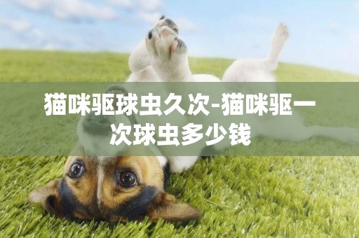 貓咪驅球蟲久次-貓咪驅一次球蟲多少錢