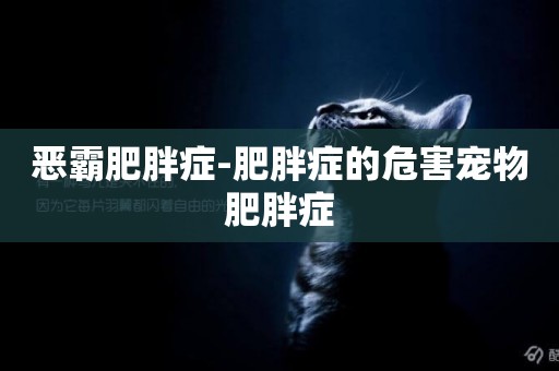 惡霸肥胖癥-肥胖癥的危害寵物肥胖癥
