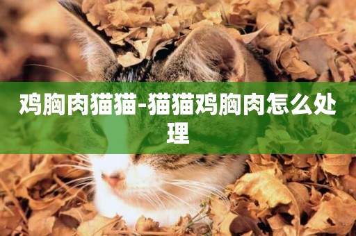 雞胸肉貓貓-貓貓雞胸肉怎么處理