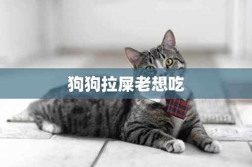狗狗拉屎老想吃