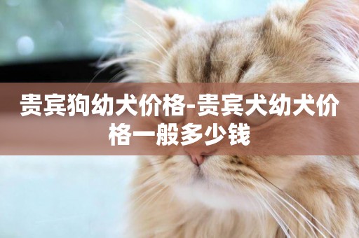 貴賓狗幼犬價格-貴賓犬幼犬價格一般多少錢