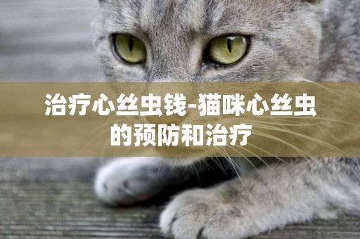 治療心絲蟲錢-貓咪心絲蟲的預防和治療