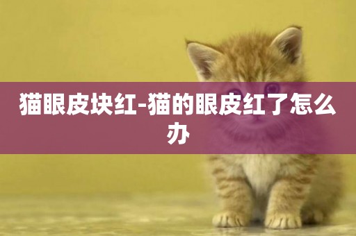 貓眼皮塊紅-貓的眼皮紅了怎么辦