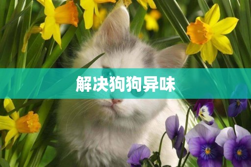 解決狗狗異味