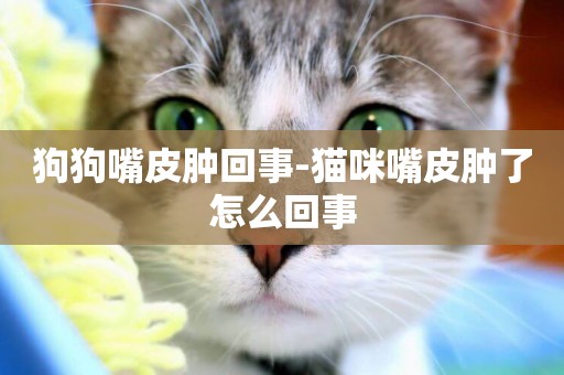 狗狗嘴皮腫回事-貓咪嘴皮腫了怎么回事