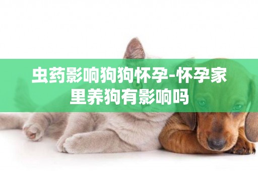 蟲藥影響狗狗懷孕-懷孕家里養狗有影響嗎