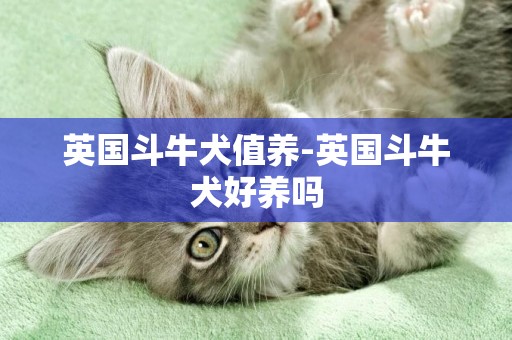 英國斗牛犬值養-英國斗牛犬好養嗎