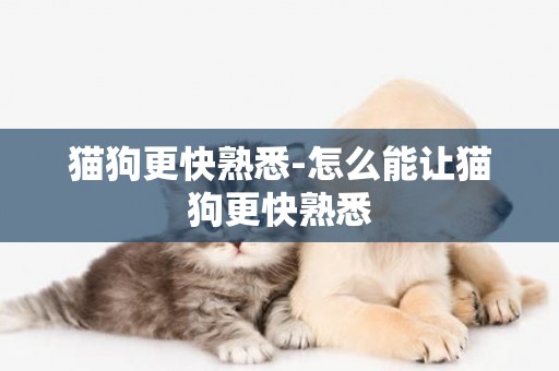 貓狗更快熟悉-怎么能讓貓狗更快熟悉