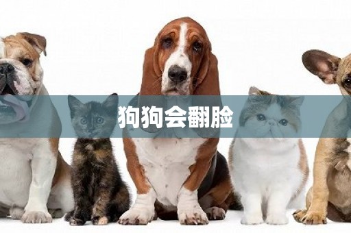 狗狗會翻臉