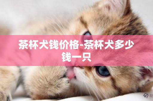 茶杯犬錢價格-茶杯犬多少錢一只