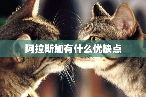 阿拉斯加有什么優缺點