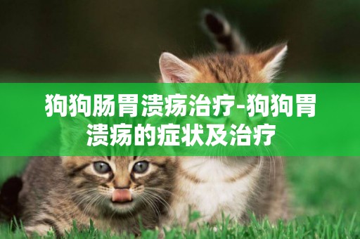 狗狗腸胃潰瘍治療-狗狗胃潰瘍的癥狀及治療