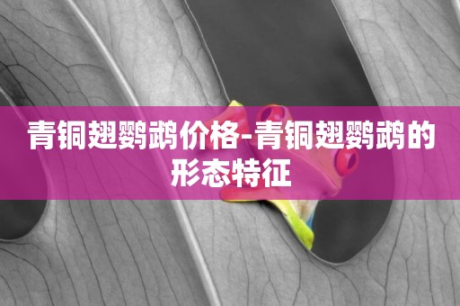 青銅翅鸚鵡價格-青銅翅鸚鵡的形態特征