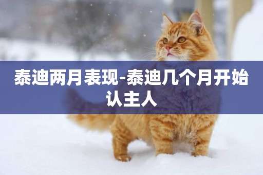 泰迪兩月表現-泰迪幾個月開始認主人