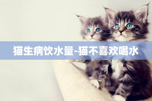 貓生病飲水量-貓不喜歡喝水