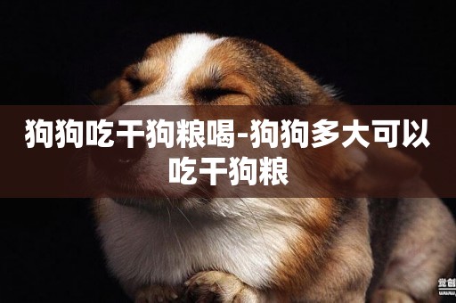 狗狗吃干狗糧喝-狗狗多大可以吃干狗糧