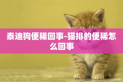 泰迪狗便稀回事-貓排的便稀怎么回事