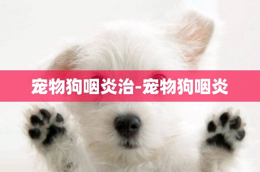 寵物狗咽炎治-寵物狗咽炎