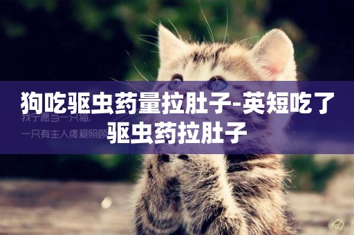 狗吃驅蟲藥量拉肚子-英短吃了驅蟲藥拉肚子