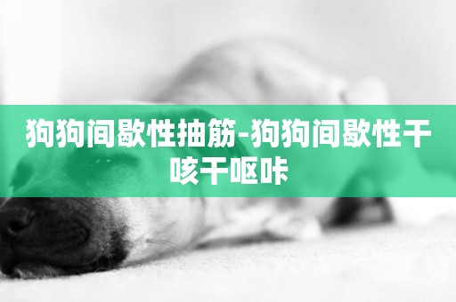 狗狗間歇性抽筋-狗狗間歇性干咳干嘔咔