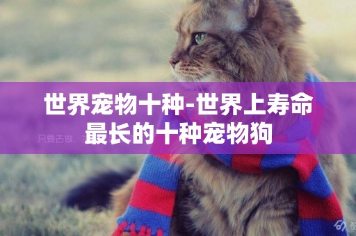 世界寵物十種-世界上壽命最長的十種寵物狗