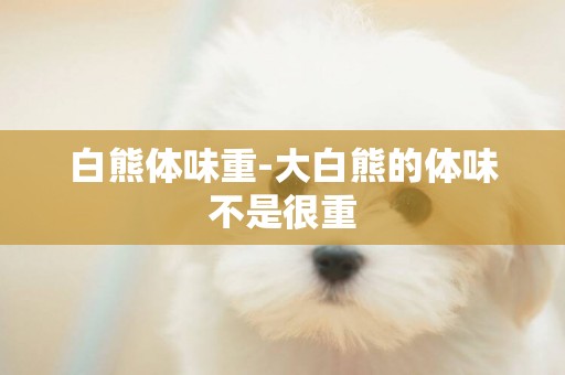 白熊體味重-大白熊的體味不是很重