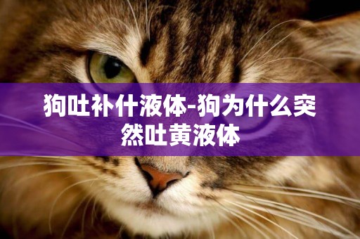 狗吐補什液體-狗為什么突然吐黃液體