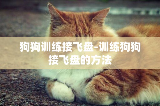 狗狗訓練接飛盤-訓練狗狗接飛盤的方法