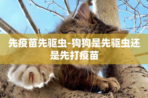 先疫苗先驅蟲-狗狗是先驅蟲還是先打疫苗
