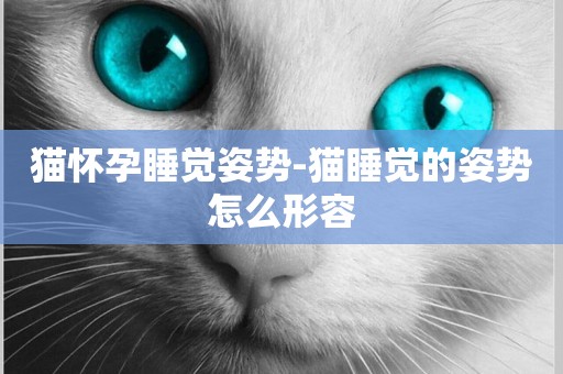 貓懷孕睡覺姿勢-貓睡覺的姿勢怎么形容