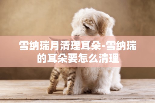 雪納瑞月清理耳朵-雪納瑞的耳朵要怎么清理
