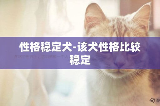 性格穩定犬-該犬性格比較穩定