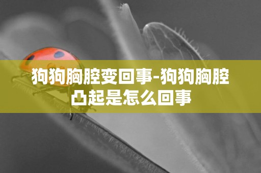 狗狗胸腔變回事-狗狗胸腔凸起是怎么回事