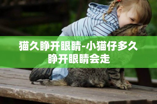 貓久睜開眼睛-小貓仔多久睜開眼睛會走