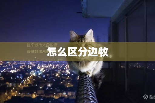 怎么區分邊牧