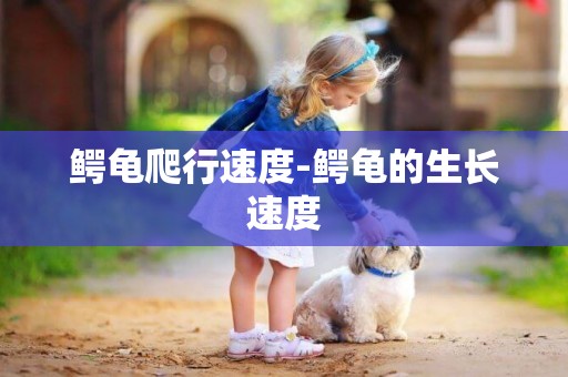 鱷龜爬行速度-鱷龜的生長速度