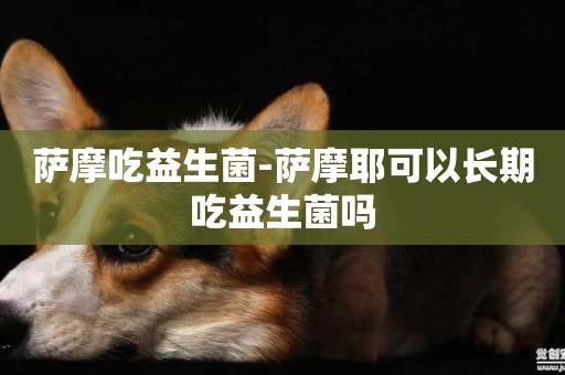 薩摩吃益生菌-薩摩耶可以長期吃益生菌嗎