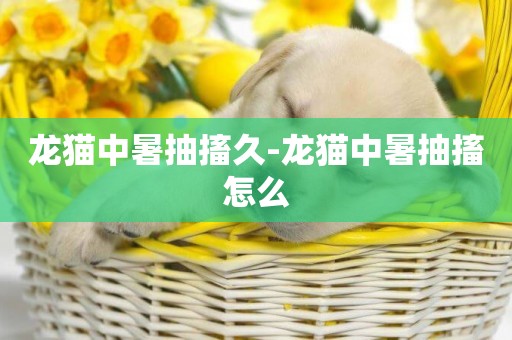 龍貓中暑抽搐久-龍貓中暑抽搐怎么