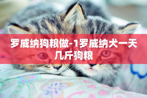 羅威納狗糧做-1羅威納犬一天幾斤狗糧