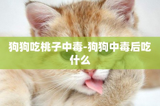 狗狗吃桃子中毒-狗狗中毒后吃什么