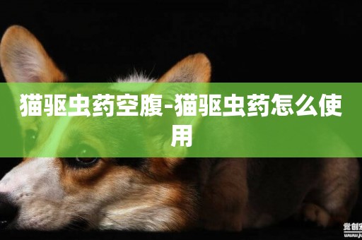 貓驅蟲藥空腹-貓驅蟲藥怎么使用