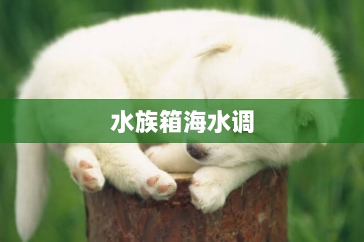 水族箱海水調