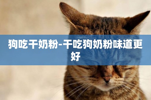 狗吃干奶粉-干吃狗奶粉味道更好