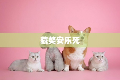 藏獒安樂死