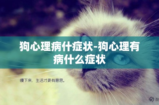 狗心理病什癥狀-狗心理有病什么癥狀