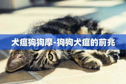 犬瘟狗狗摩-狗狗犬瘟的前兆
