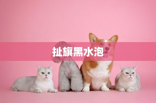 扯旗黑水泡