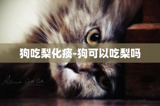 狗吃梨化痰-狗可以吃梨嗎