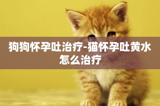 狗狗懷孕吐治療-貓懷孕吐黃水怎么治療