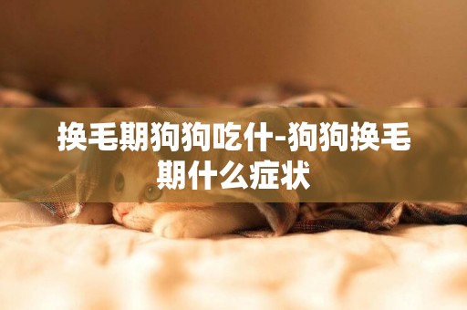 換毛期狗狗吃什-狗狗換毛期什么癥狀